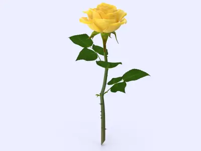 Rose 22 3D model