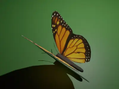 butterfly monarch Free low-poly 3D model