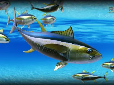 Yellowfin Tuna Fish Low-poly 3D model