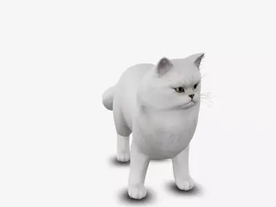 cat Persian 3D model