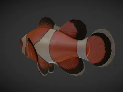  Clown Fish Low-poly 3D model
