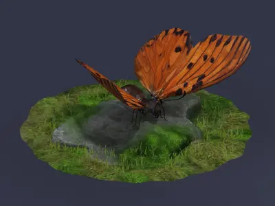 Danaus Plexippus Butterfly Milkweed Monarch  3D model