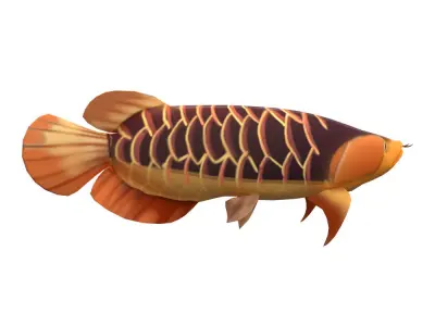 Asian Arowana fish animated Low-poly 3D model
