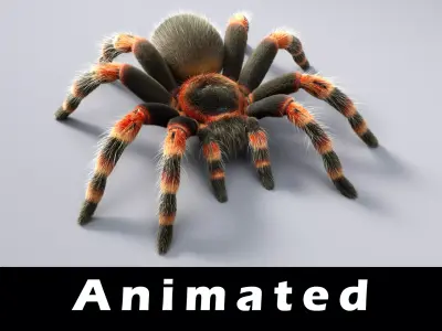 Tarantula Low-poly 3D model