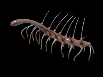 Hallucigenia Free low-poly 3D model