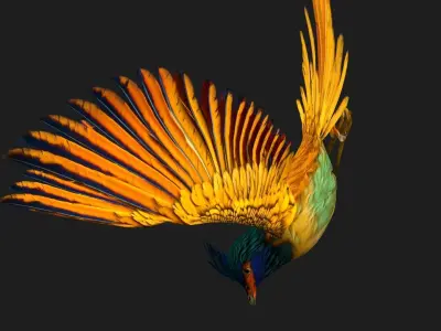 PheasantBird A2 3D model