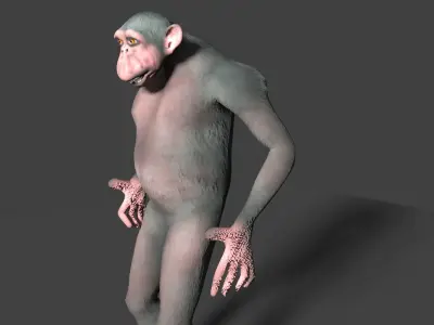 CHIMPAZEE monkey running Low-poly 3D model