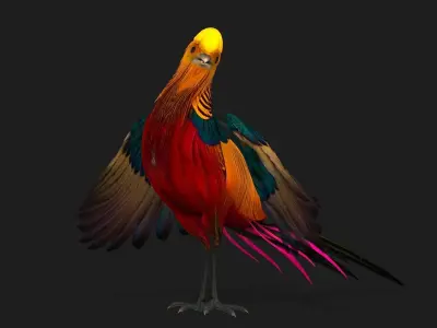 Pheasant A4 3D model