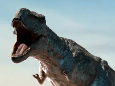 Tyrannosaurus Rex Rigged Animation Low-poly 3D model