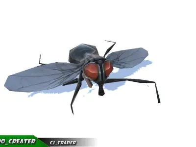 Low-Poly Housefly Insect Rigged Animated 3d model Low-poly 3D model