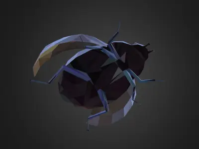 Bug Ladybug Black Low Polygon Art Insect Low-poly 3D model