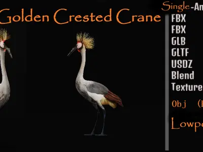 African Grey Crested Crane Bird Low-poly 3D model