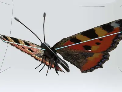 Butterflies Collection - 24 Rigged Low-Poly Butterfly Models Low-poly 3D model