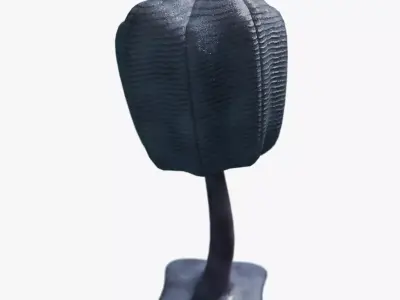 Siphusauctum Low-poly 3D model