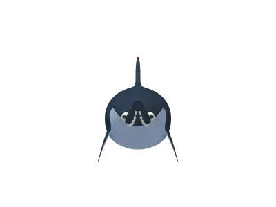 Shark Cartoon 3D model