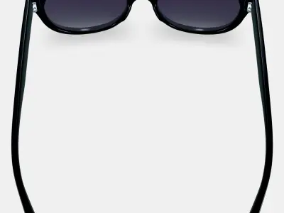 Annika Sunglasses in Jet Black 3D model