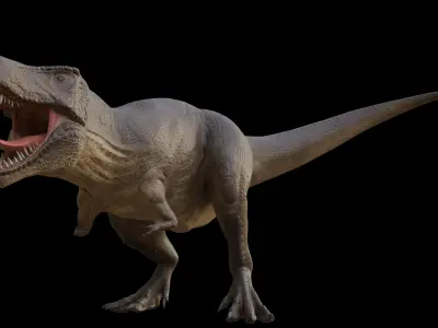 Tyrannosaurus rex Low-poly 3D model