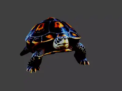 Turtle - Tortoise Low-poly 3D model