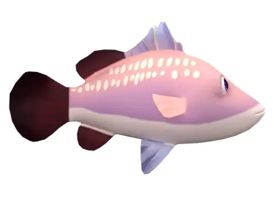 Barramundi Animated Fish  Low-poly 3D model