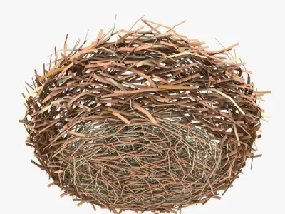 BirdsNest bird nest 3D model