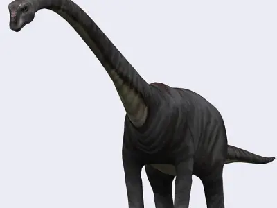 3DRT - Dinosaurs - Diplodocus Low-poly 3D model