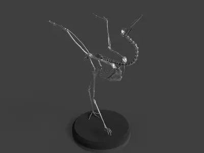 Silver Crane Skeleton  3D model