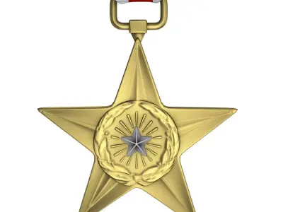 USAF Silver Star Medal 3D model