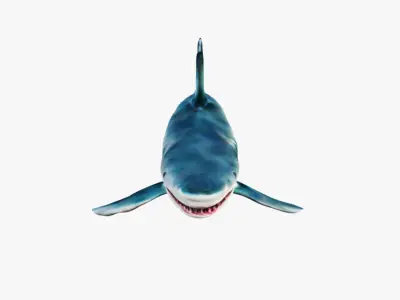 Shark Free 3D model