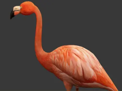 Flamingo Low-poly 3D model