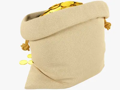 Bag of Coins V1 3D model