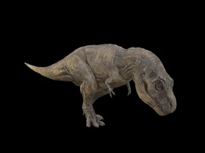 Tyrannosaurus - T-rex Dinosaur Low-poly 3D model