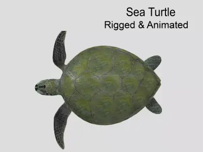 Sea Turtle Low-poly 3D model