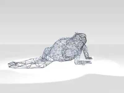 Iguana Wireframe 3D model