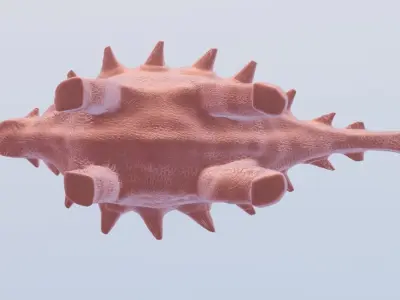 Ankylosaurus 3D print model