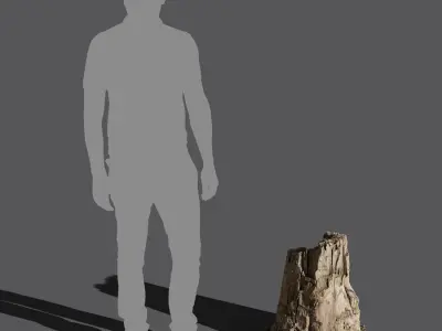  Short Broken Decaying Bare Stump Model 