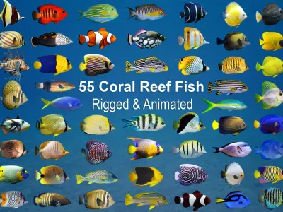 Coral Reef Fish Collection Animated - Game Ready pack 3 Low-poly 3D model