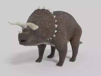 3D Triceratops Model dinosaur Low-poly 3D model
