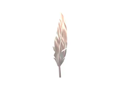 Feathers v1 012 Low-poly 3D model