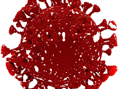 coronavirus corona virus 3D model