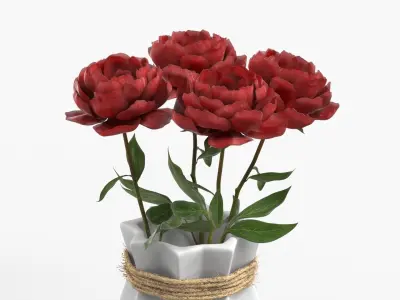 Geometric Ceramic Vase with Dark Red Peonies 3D model