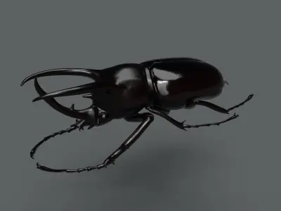 Atlas Beetle Low-poly 3D model