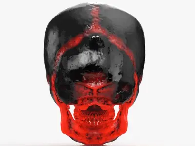 Human Skull Sci-fi Hot 3D model