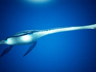 Plesiosaur Elasmosaurus - with UE4 Support Low-poly 3D model