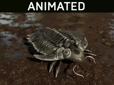 Trilobite 01 - Metopolichas Low-poly 3D model