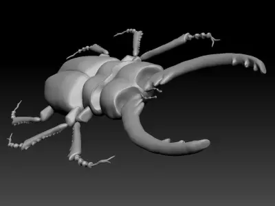 Beetle 3D model