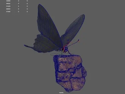Butterfly on rock 3D model