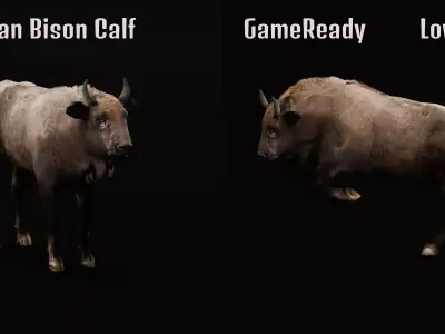 European Bison Calf Free 3D model