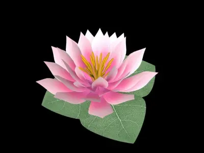 Water Lily Low-poly 3D model