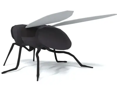 Low Poly Cartoon Fly  Low-poly 3D model