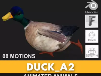 Duck A2 3D model